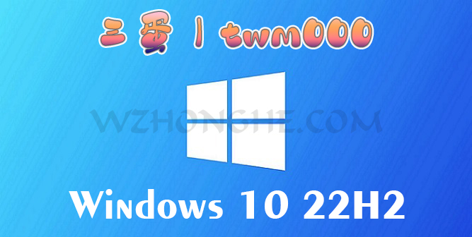 Win10 22H2(19045.3391)_TWM000合集版